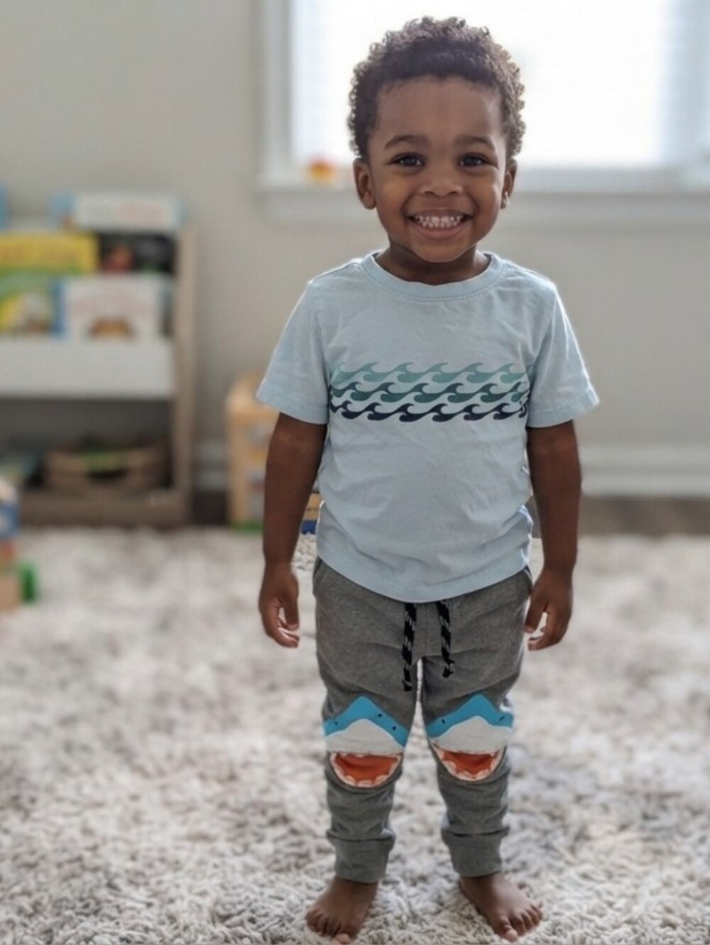 4T Wave Print T-Shirt and Shark Knee Gray Pants Set